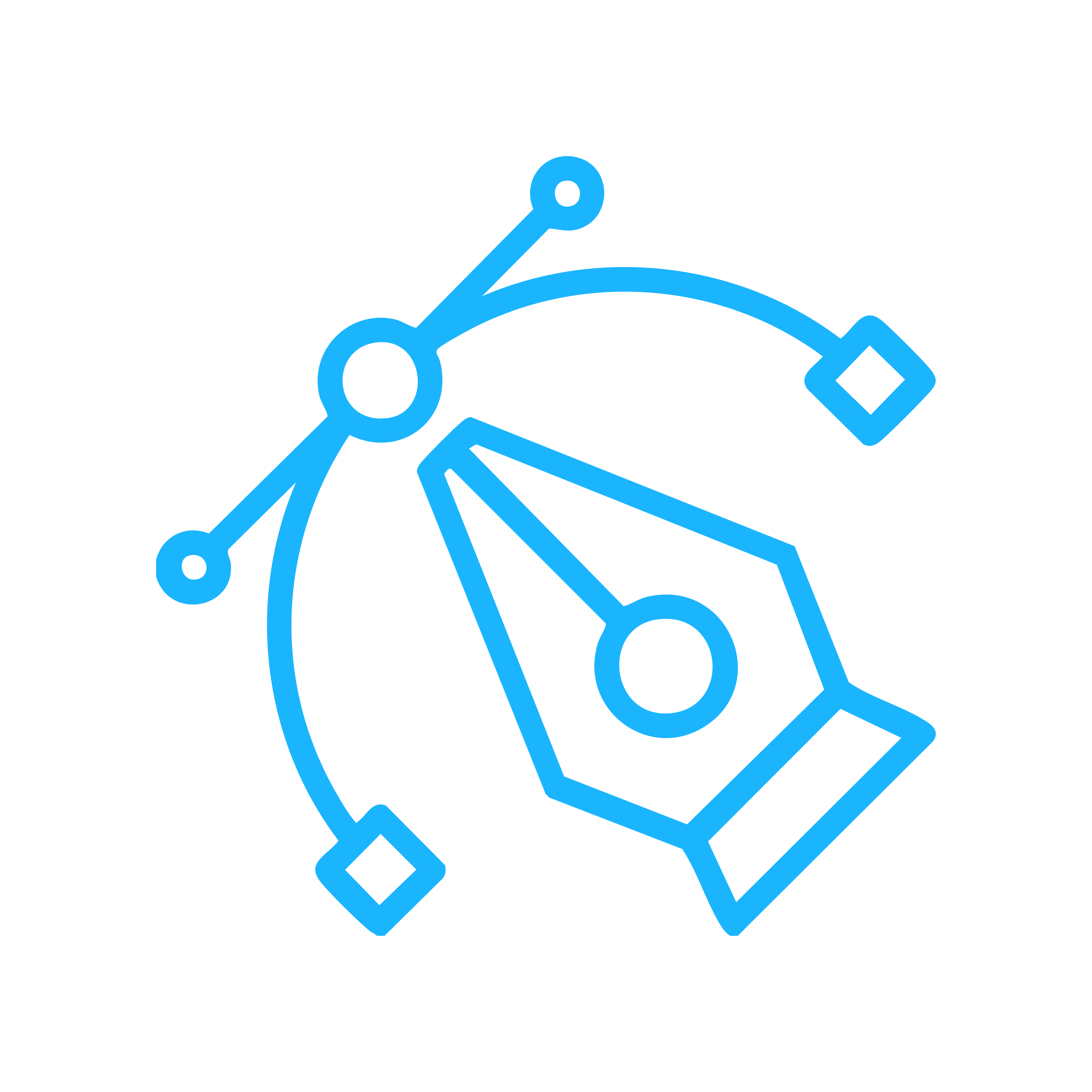 Visual Design & Motion